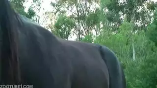 فانتازيا الفحل المثلي في ركوب الخيل الإباحية إثارة جنسية قوية