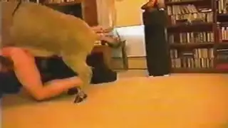 نيك حمار حي وانات