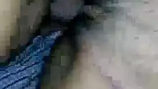 الضفائر الكلبة مشعرات